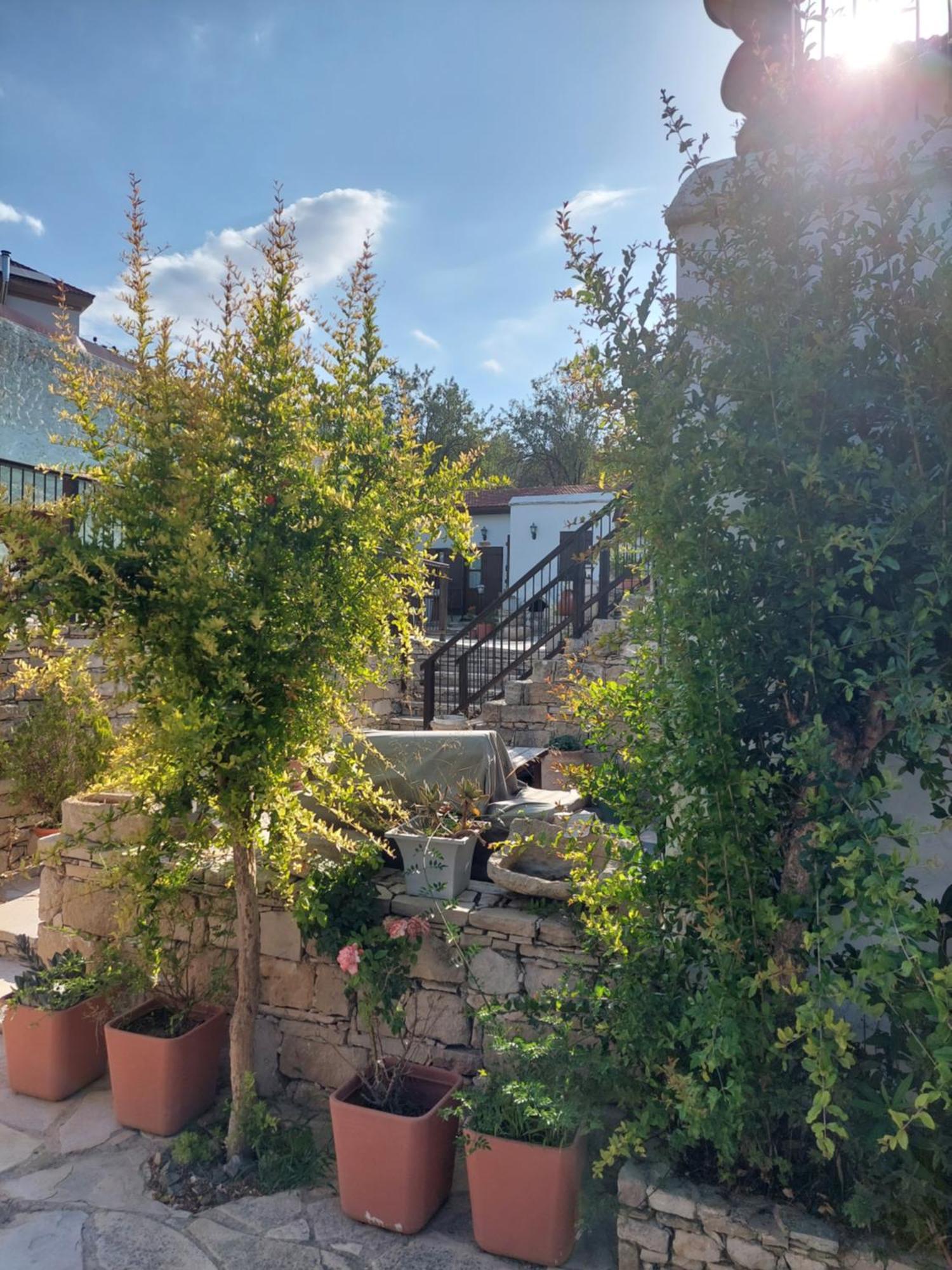 Avalon Village Houses 레메소스 외부 사진