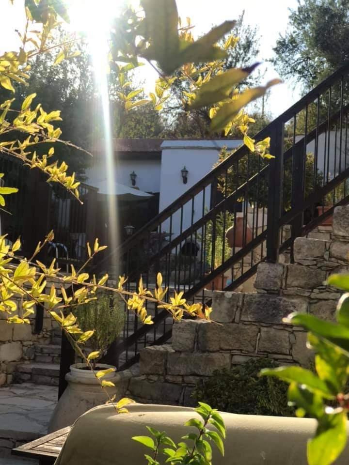 Avalon Village Houses 레메소스 외부 사진